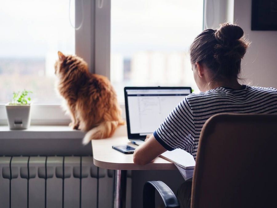 Produktiver im Homeoffice mit der richtigen Einrichtung Produktiver im Homeoffice mit der richtigen Einrichtung