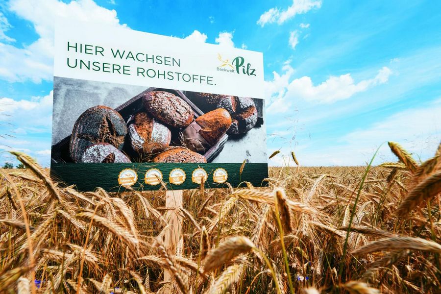 Backwelt Pilz GmbH Waldviertler Getreidefeld